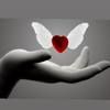 rahel_r